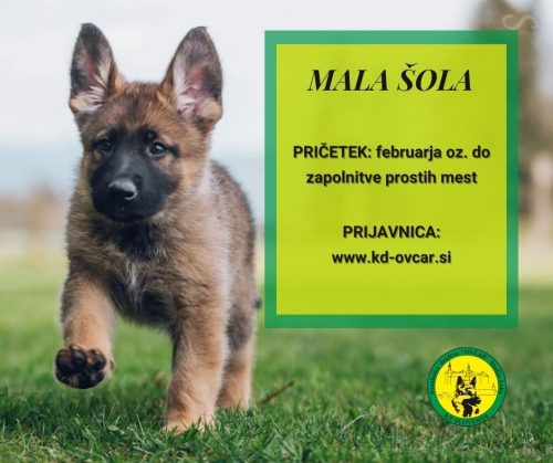 MalaSola