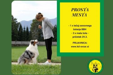 prosta_mesta
