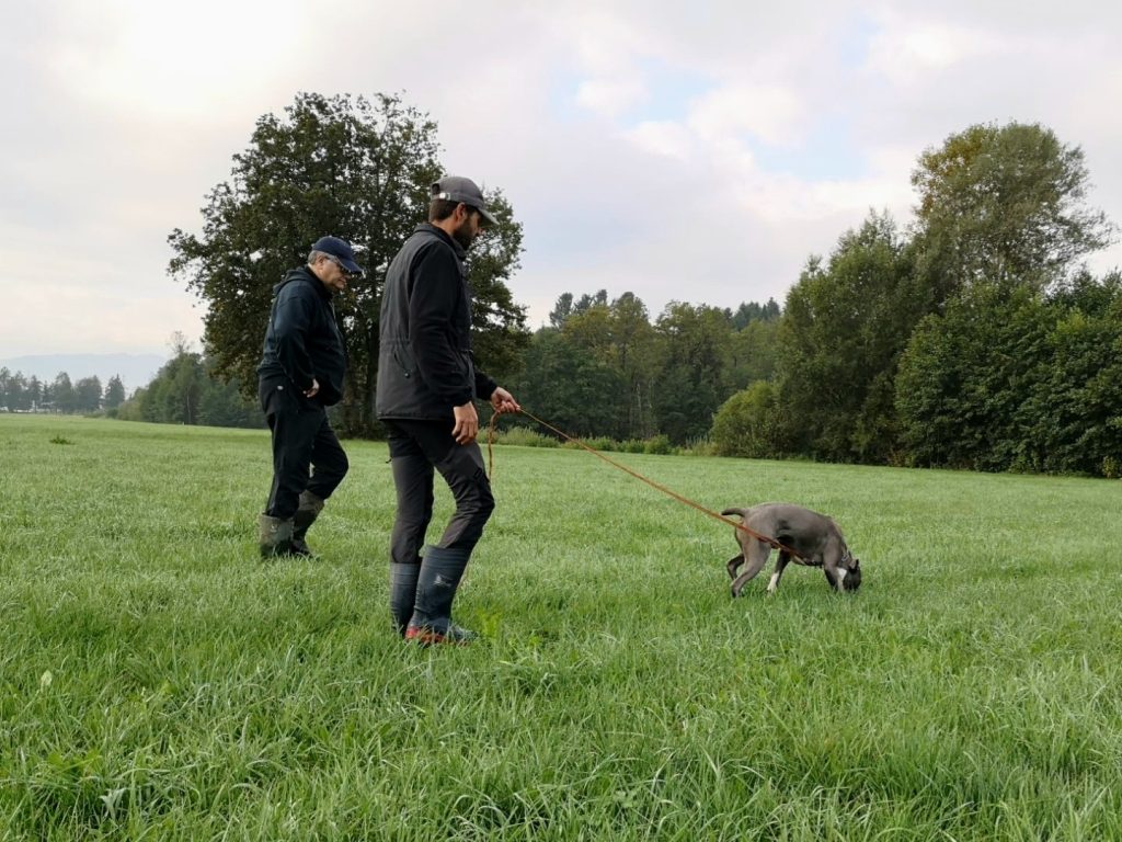 Vodnik s psom na sledi, za njim polagalec sledi