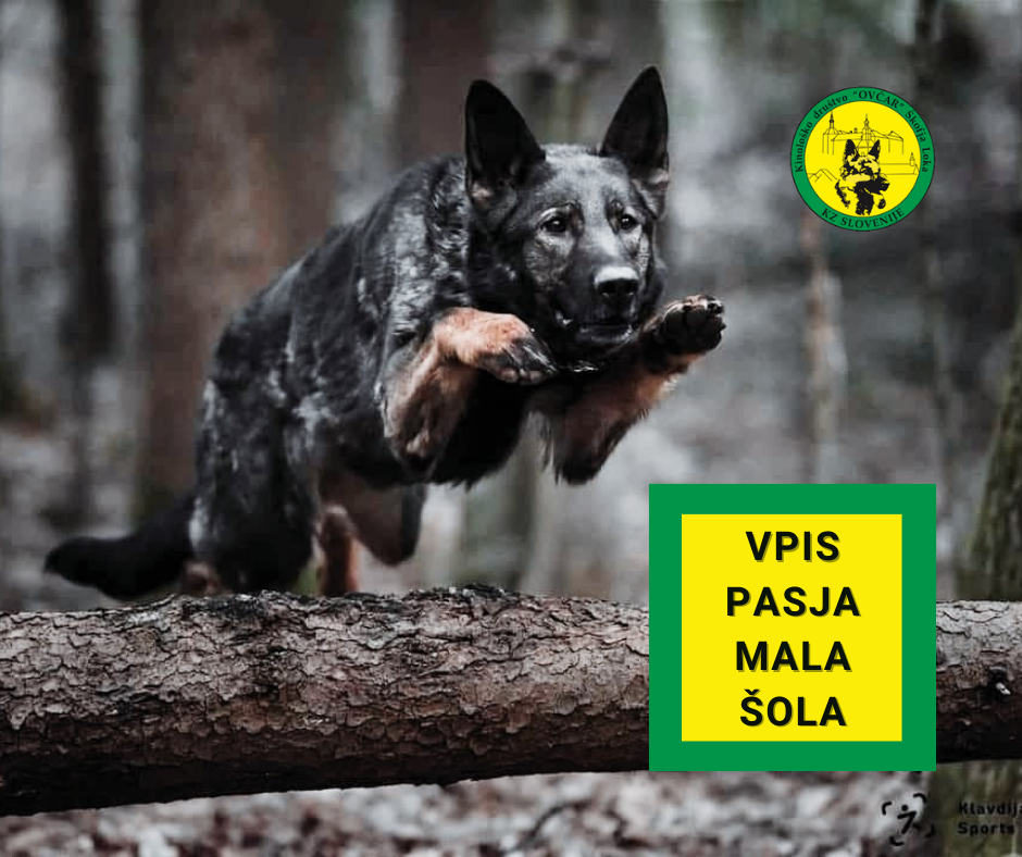 Vpis v tečaj male šole