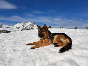 Vpisujemo – zimska MALA ŠOLA